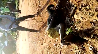 COMPASSION AND EMPATHY: THE ANTIDOTE TO NORMALIZED VIOLENCE